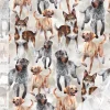 Doglove (vaalea hiekka) digitrikoo