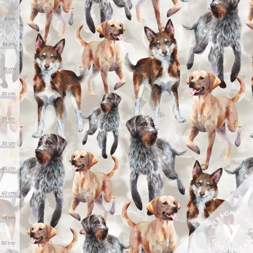 Doglove (vaalea hiekka) joustocollege