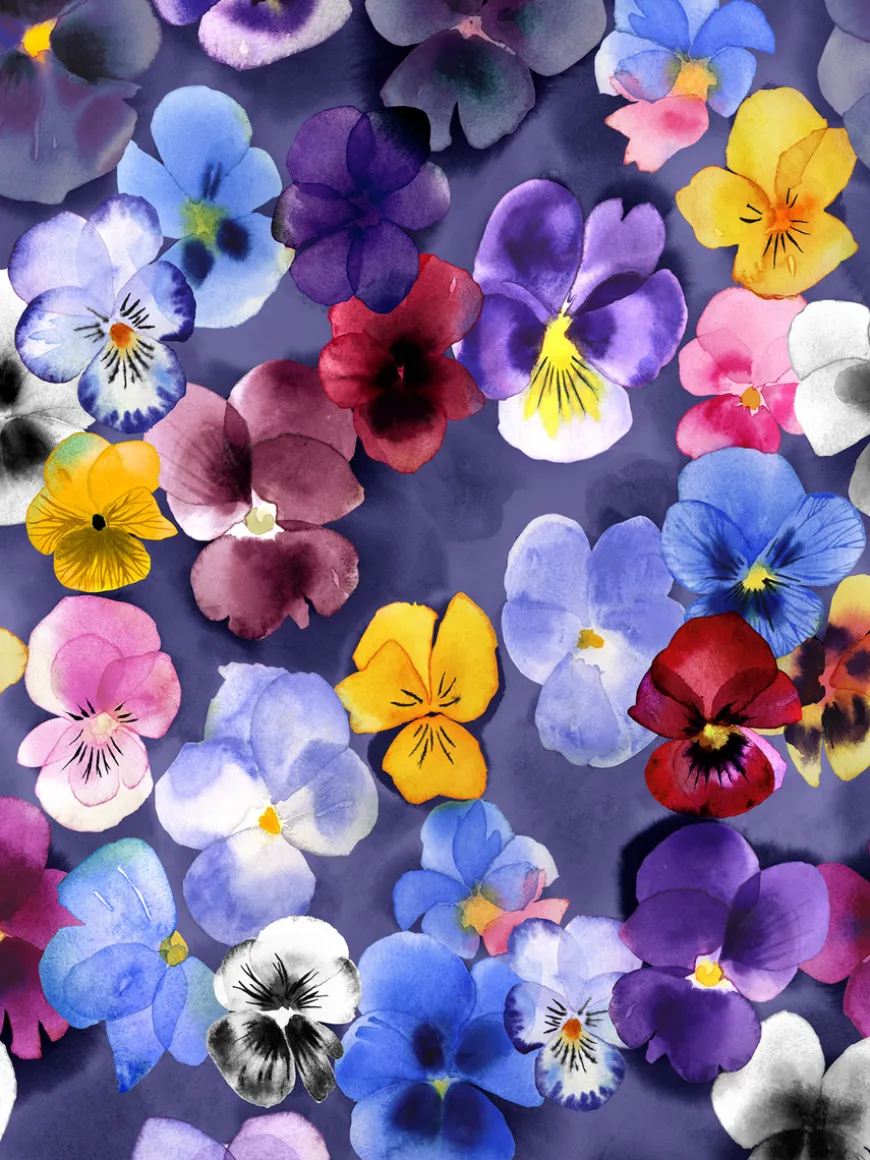 SUVImekko (Orvokki violetti trikoo)